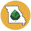 MLC app icon